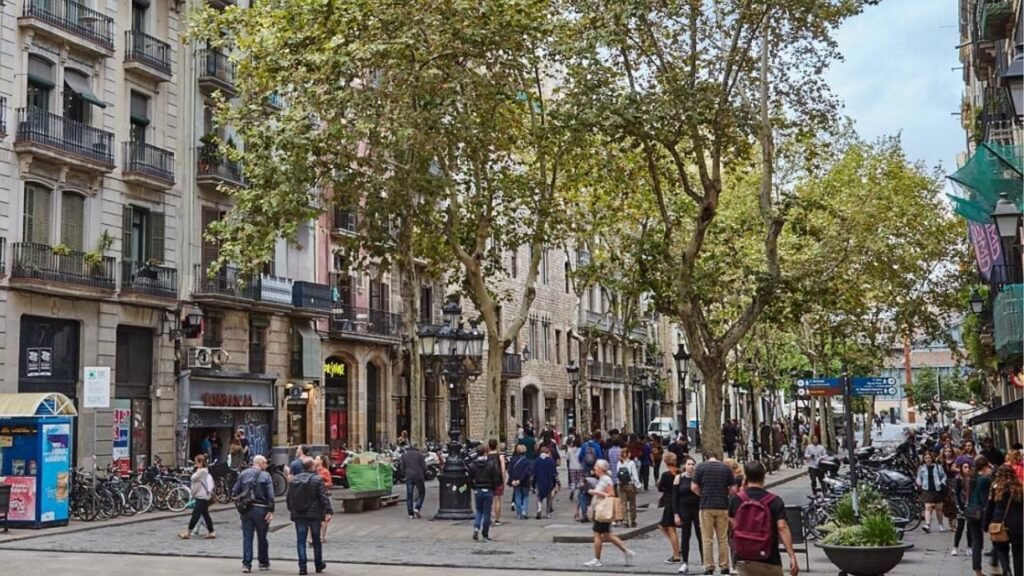 28 Lugares para Ver y Visitar en Barcelona y Qué Hacer en Ellos 21 el-born-de-barcelona