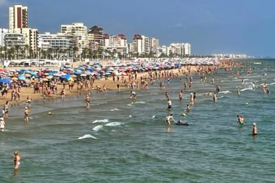 Descubre la belleza natural de La Marjal de Gandía: Un paraíso en Valencia 7