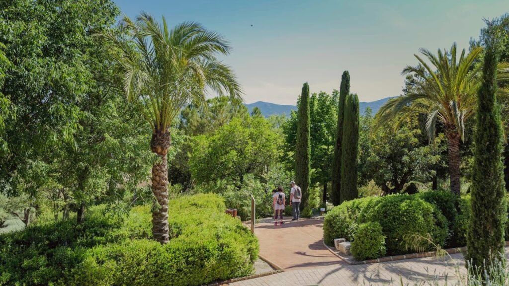 Descubre el fascinante laberinto de la Casa Tapena en Onil: Una experiencia única 1 Descubre el fascinante laberinto de la Casa Tapena en Onil: Una experiencia única 1