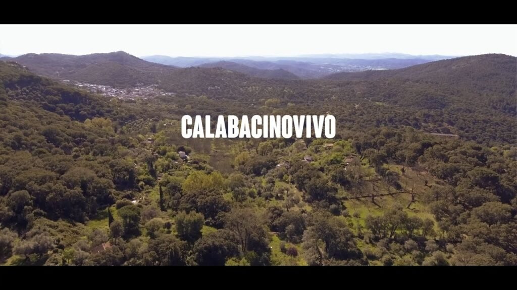 Descubre las mejores ecoaldeas en Girona: una guía completa 1 Descubre las mejores ecoaldeas en Girona: una guía completa 1