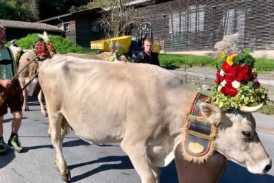 Descubre los festivos pueblos de Suiza que celebran fiestas tradicionales 6